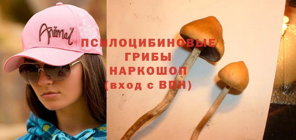 индика Весьегонск