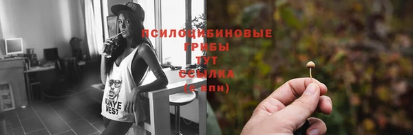 соль ск Пестово