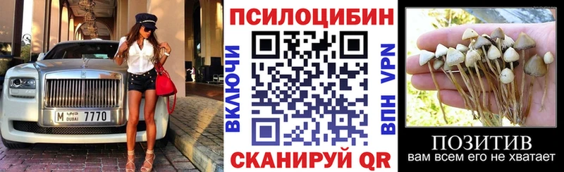 где купить   это состав  МЕГА   Псилоцибиновые грибы ЛСД  Багратионовск 
