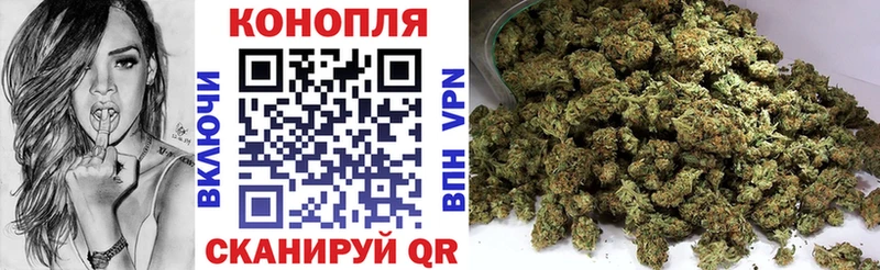 Каннабис MAZAR Багратионовск